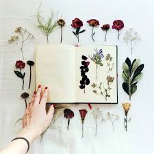 Use a microwave to preserve as much color as possible. 30 Unique Ways To Reuse Dried Flowers