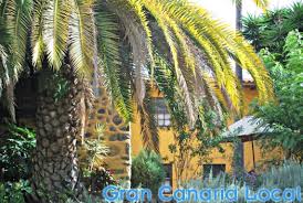 Gran canaria cottage getaway, pool, bbq, sea views. Casa Rural El Borbullon Teror Holiday Home Gran Canaria Local