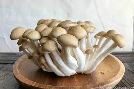 Shimeji Mushrooms Pantry Just One Cookbook