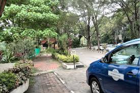The kl bird park houses more than 3,000 birds in enclosed aviaries of which almost 90% are local birds and the rest are imported. Kuala Lumpur Bird Park Houses More Than 3000 Birds Representing More Than 200 Species In An Enclosed Aviary Klia2 Info