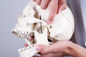 Ruidos En La Mandibula Trastornos Temporomandibulares Y Dolor Orofacial
