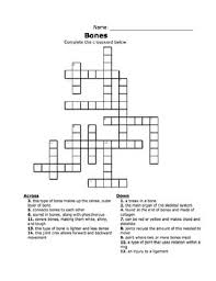 If you are stuck, you can click on hint to get a free letter. Bones Crossword By Science It Up Teachers Pay Teachers