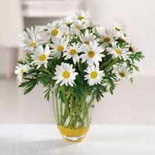 Maybe you would like to learn more about one of these? Four Seasons Diy Florist Local Florist Fort Wayne In