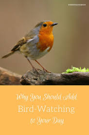 Birds That Start With A P Pin On Ihn Science For Homeschool