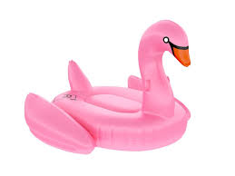We did not find results for: Floatie Kings Pink Swan Party Pool Float Original Giant Premium Inflatable Pool Rafts Inflatable Ride Ons Toys Games Agtcorp Com