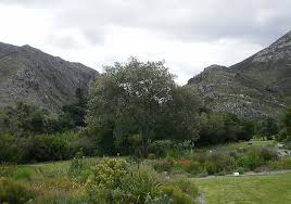 Image result for Virgilia