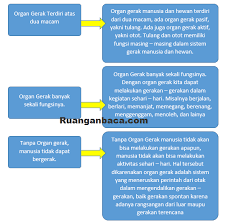 Ide pokok dan kalimat pengembang bacaan organ gerak manusia. Kunci Jawaban Soal Buku Tematik Kelas 5 Tema 1 Halaman 4 5 6 Ruangan Baca