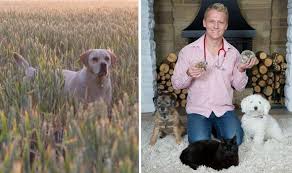 High quality spays and neuters, wellness services, and more at a nonprofit, low cost vet clinic for everyone! Dr Scott Warns Of Grass Seeds Danger For Dogs And What To Do At Home Express Co Uk
