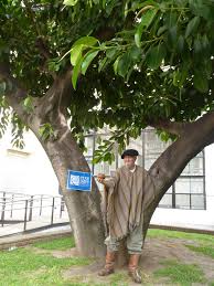 Francisco Guillermo Arosteguy Francisco Coat Lab Coat