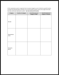 It's the place where the baby lives and grows until it is born. Solved Study Worksheet Unit 4 6 Reproductive S Study Chegg Com