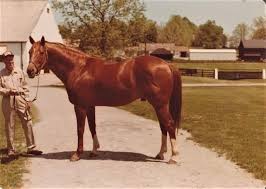 Image result for Red 1980 Granny Davis Bread (Vic)