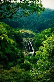 Swaziland is famous for its excellent craftsmen, and is home. 83 Swaziland Ideas Swaziland Africa Southern Africa