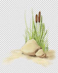Daun bawang merupakan salah satu jenis sayuran yang kerap dipakai dalam masakan indonesia. Daun Bawang Kucai Cat Air Cat Tinta Basah Bawang Putih Daun Bawang Makanan Bawang Merah Png Klipartz
