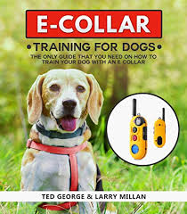 This remote collar dog training video was made for you! E Collar Training For Dogs The Only Guide That You Need On How To Train Your Dog With An E Collar By Ted George