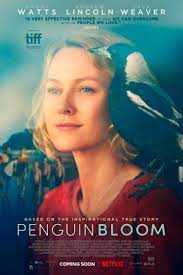 2020 Archivos Pelispop