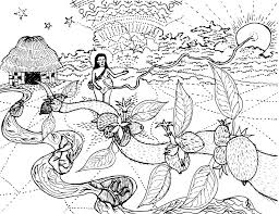 Image result for Sabicea