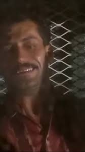 The Most Hilarious Death Scene, in True Lies (1994)—Death of mooks by a  bird eventually