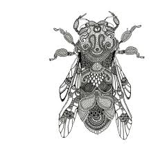 This Would Make A Lovely Tattoo Insect Art Bug Art Insects
