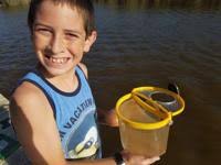 Jellyfish migrate from Russia to Napa River