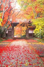 Pin Oleh Tonya Davis Di Heaven On Earth 100 Places To See In Your Lifetime