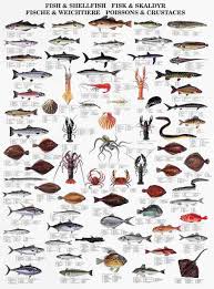 la tene maps showing vast range of fish species