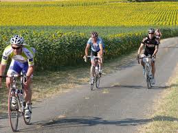 Defi Randos Cyclo Classics Charente Poitevine Juillet 2013 Champs De Tournesol Charente Maritime Tournesol