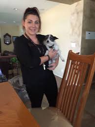 Maybe you would like to learn more about one of these? Puppy Training Camp Phoenix Bmo Show