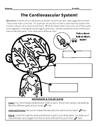 Image result for Cardiovascular Worksheets