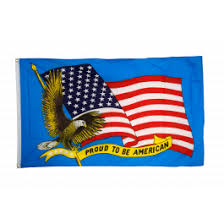 How can you be proud of something you have no control over? Flagge Fahne Usa Proud To Be American Gunstig Kaufen Flaggenfritze De