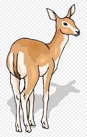 Baby Deer Clip Art Clipart Panda Clip Art Deer Gif Png Download 1724226 Pinclipart Hand painted spring baby and mama deer clipart. baby deer clip art clipart panda clip