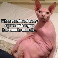 Pin On Humor