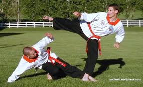 Spoc #merpatiputih #psht spoc 2019 road to the final, pesilat dari perguruan merpati putih bernama tiara jati. Oleh Penulis Di Wikipedia Pps Merpati Putih Bela Diri Tradisional Keraton Menyebar Ke Mancanegara Download Antivirus Timeline Pictures Posters Walpapers Etc