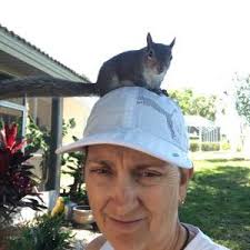 Great Cycle Challenge USA