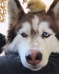 The Best Part Of Waking Up Is Folgers In Your Cup Gif Https Encrypted Tbn0 Gstatic Com Images Q Tbn 3aand9gcrjo59riqmtkxjbvsfrczdj2jxurlfgxrde8q Usqp Cau