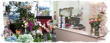 Maybe you would like to learn more about one of these? Floristeria Zinnia En A Coruna Comprar Flores Online
