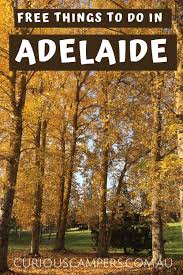 Explore Adelaide For Free Australia Free Things To Do Day Trips Things To Do