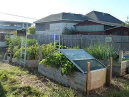 Urban Homestead Diaries Urban Homestead Photo Tour Part 3 Back Yard Veggie Garden And Greenhouse Urban Homesteading Homestead Layout Urban Backyard