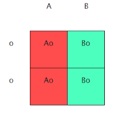 Type o blood = oo (recessive) type b blood = bb (homozygous) or bo (heterozygous) type a blood = aa (homozygous) or ao (heterozygous) type ab blood = ab. 26 Abo Blood Type Punnett Square Worksheet Images Blood Type