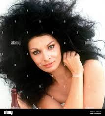 Gabel hi-res stock photography and images