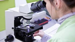 Cu virusul gripal tip a confirmat fără determinarea subtipului. Gripa Cum Se Modifica Virusul Gripal Reginamaria Ro