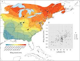 Cati km are o mila ? Assessing Migratory Connectivity For A Long Distance Migratory Bird Using Multiple Intrinsic Markers Rushing 2014 Ecological Applications Wiley Online Library