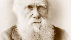 Wissenschaftspolitik in den USA