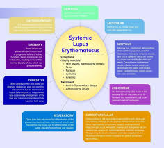 Pin By Anjali Chanana On All Muscle Tissue Nervous Muscle