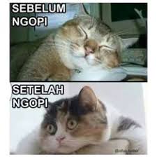 Download now kumpulan gambar dp bbm kata kata lagi ngopi garuda news. 26 Ide Meme Ngopi Jaman Now Yang Bikin Pengen Ngopi Gambar Lucu Lucu Meme Lucu