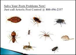 When you're trying to find the best exterminators in maryland, you might be a bit surprised at just how many companies there are. Arterix Pest Control Provides Residentialpestcontrol Service Which Includes Beetles Cockroach Flies Termite Moths Pest Control Pest Control Services Pests