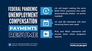 The federal labor department inspector general's office estimates that, across the united states, more than $63 billion has been paid out improperly through fraud or errors. The Extension Of The Fpuc Program Is Part Of The Federal Stimulus That Congress Passed Last Month