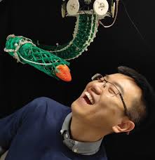 Nana Obayashi (@nana_obayashi)