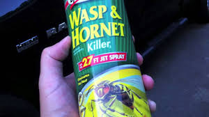 Wasp Spray As A Defensive Tool Bad Idea Youtube