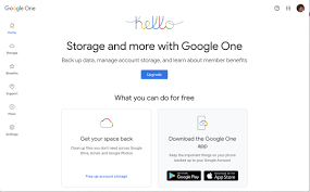 Google input tools 10.2.0.0 is available to all software users as a free download for windows. How To Share Your Google One Storage With Your Family The Verge