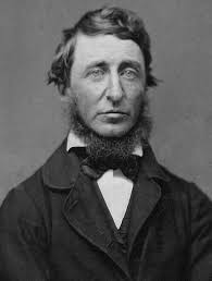 Ellen DeGeneres and Henry David Thoreau Ellen Degeneres's identical twin is  Henry David Thoreau, an American author, poet, and philosopher born in 1817  in Concord, MA. We don't like comparing her to